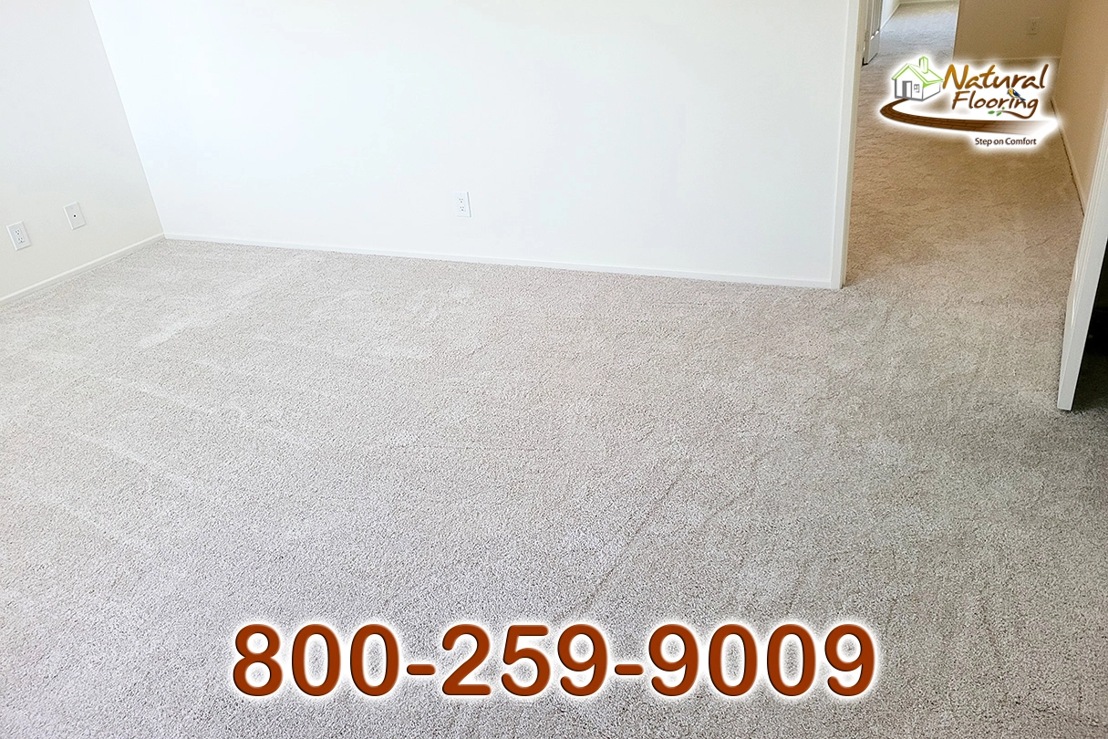 No Limit Aspen Glow Carpet Dreamweaver