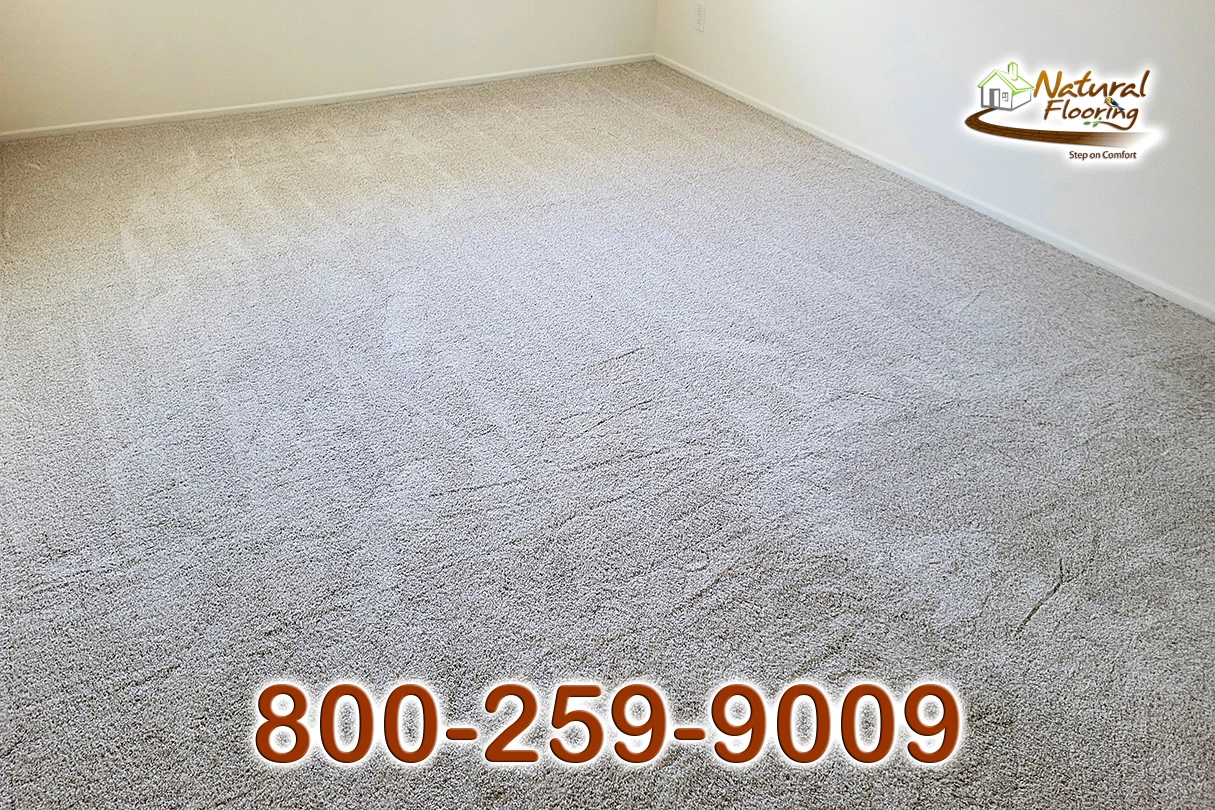 No Limit Aspen Glow Carpet Dreamweaver