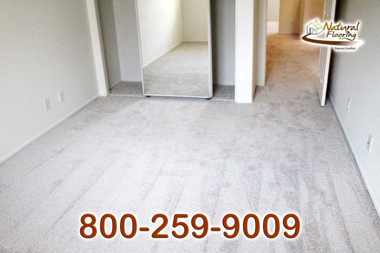 No Limit Aspen Glow Carpet Dreamweaver