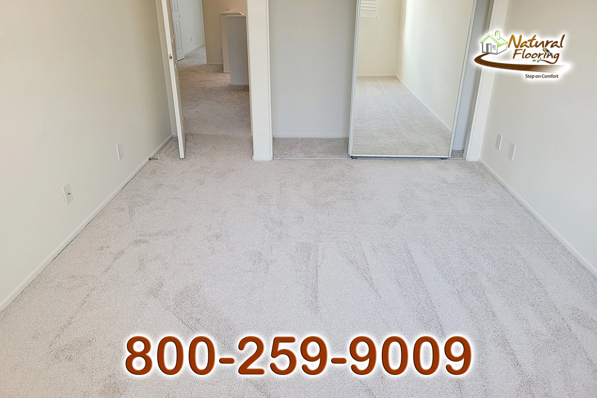 No Limit Aspen Glow Carpet Dreamweaver