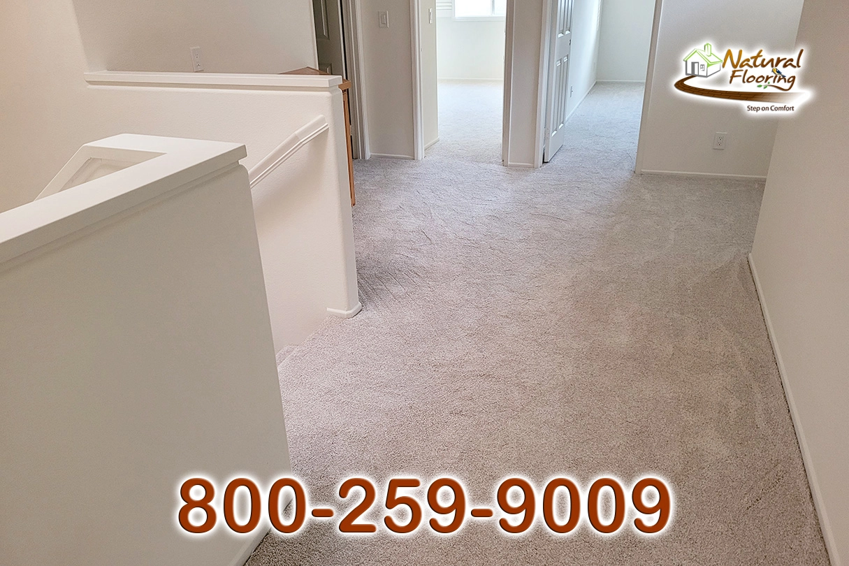 No Limit Aspen Glow Carpet Dreamweaver