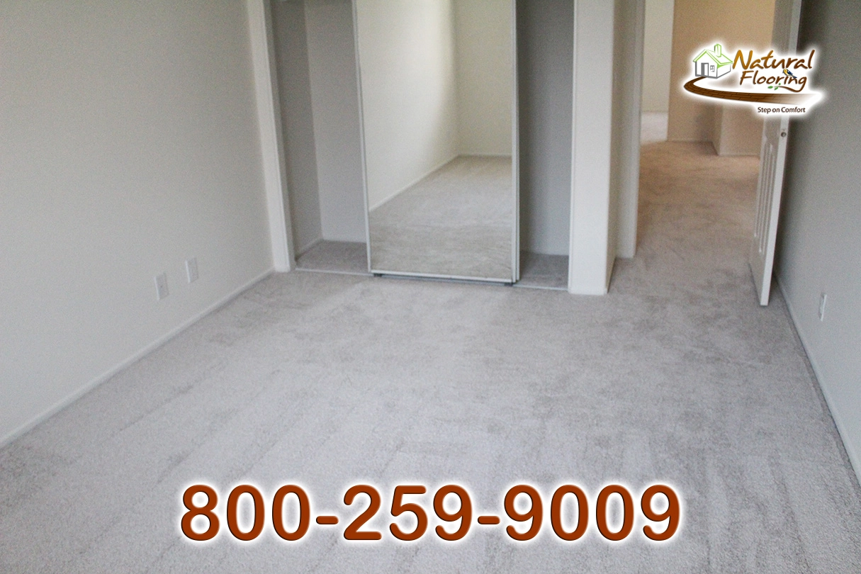 No Limit Aspen Glow Carpet Dreamweaver