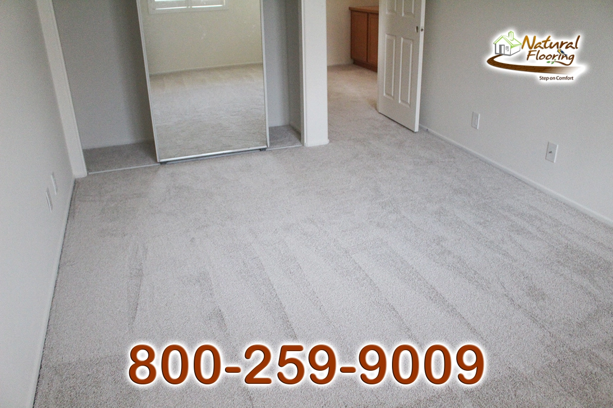 No Limit Aspen Glow Carpet Dreamweaver