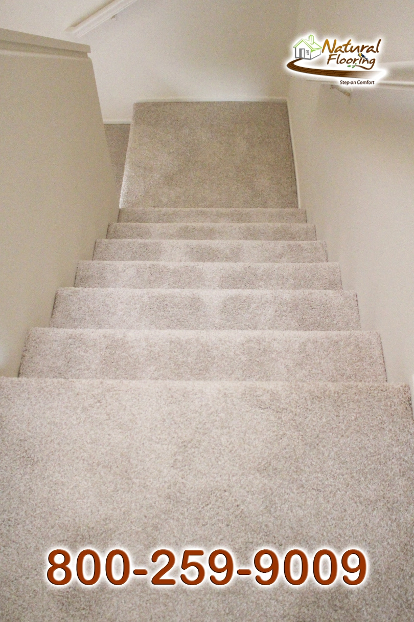 No Limit Aspen Glow Carpet Dreamweaver