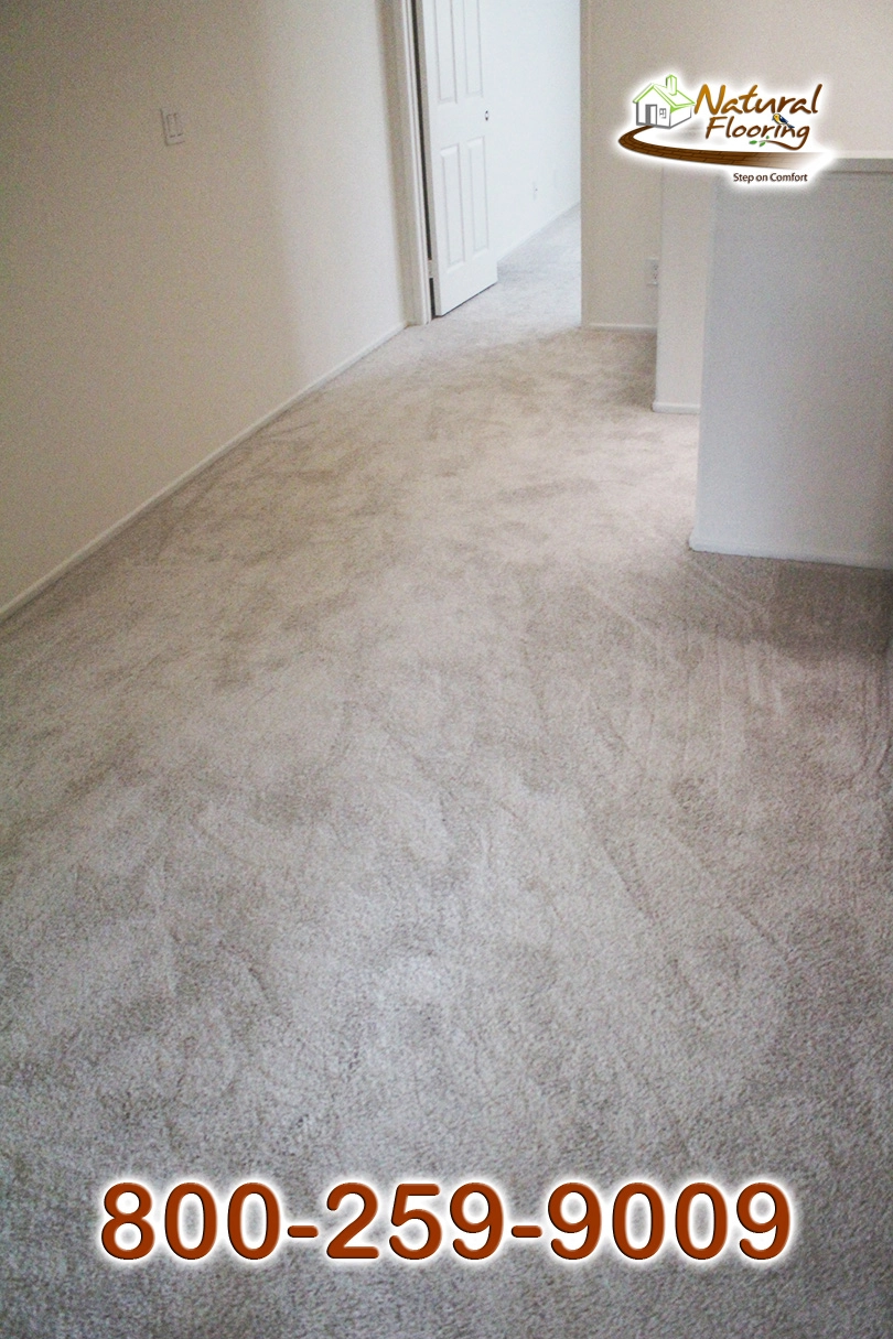 Aspen Glow Carpet