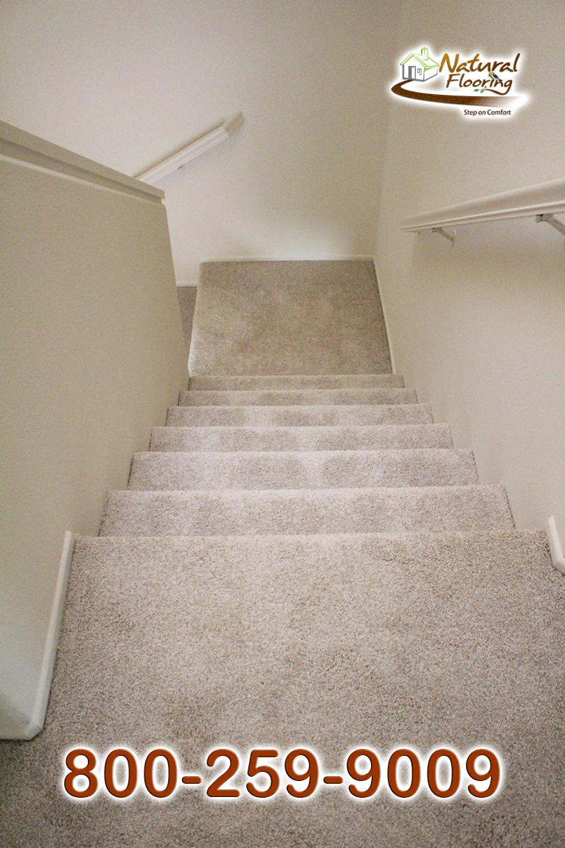 No Limit Aspen Glow Carpet Dreamweaver