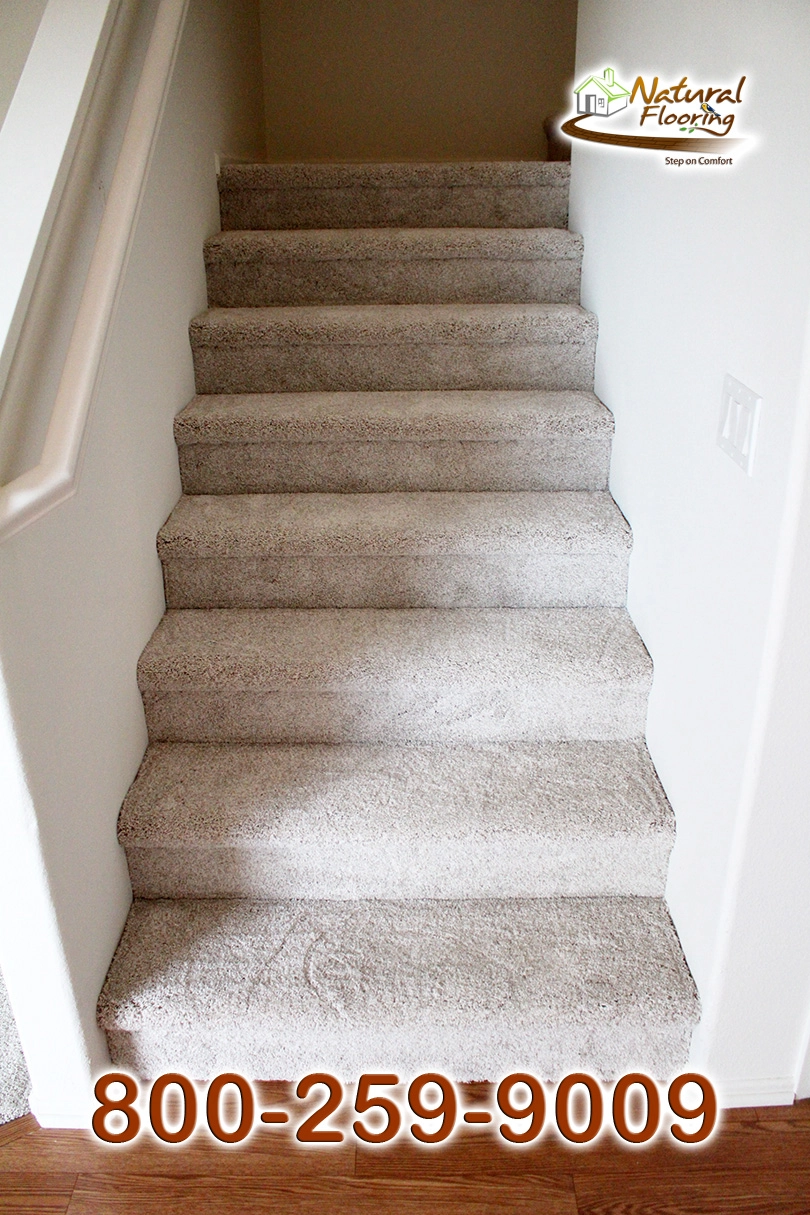 No Limit Aspen Glow Carpet Dreamweaver