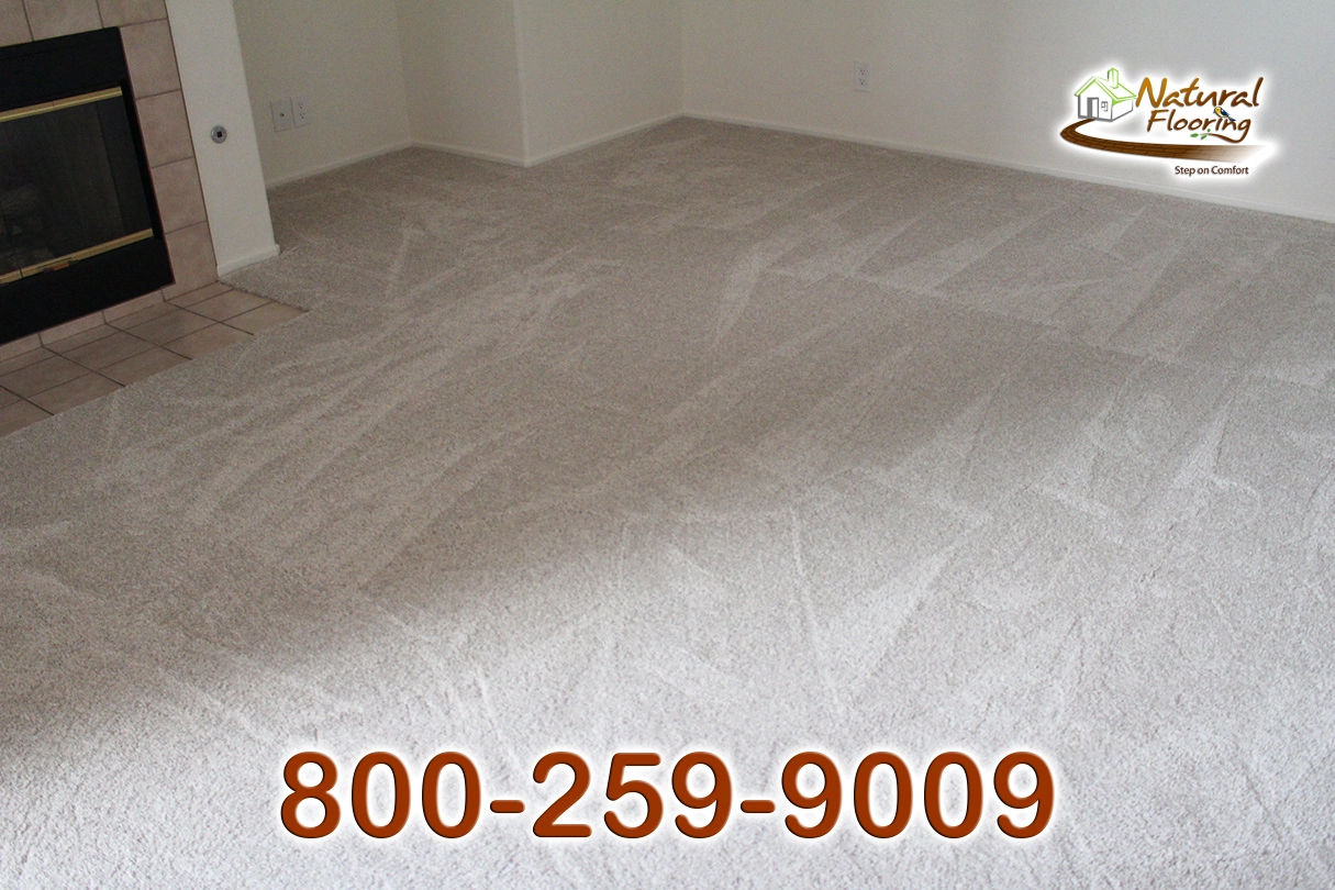 No Limit Aspen Glow Carpet Dreamweaver