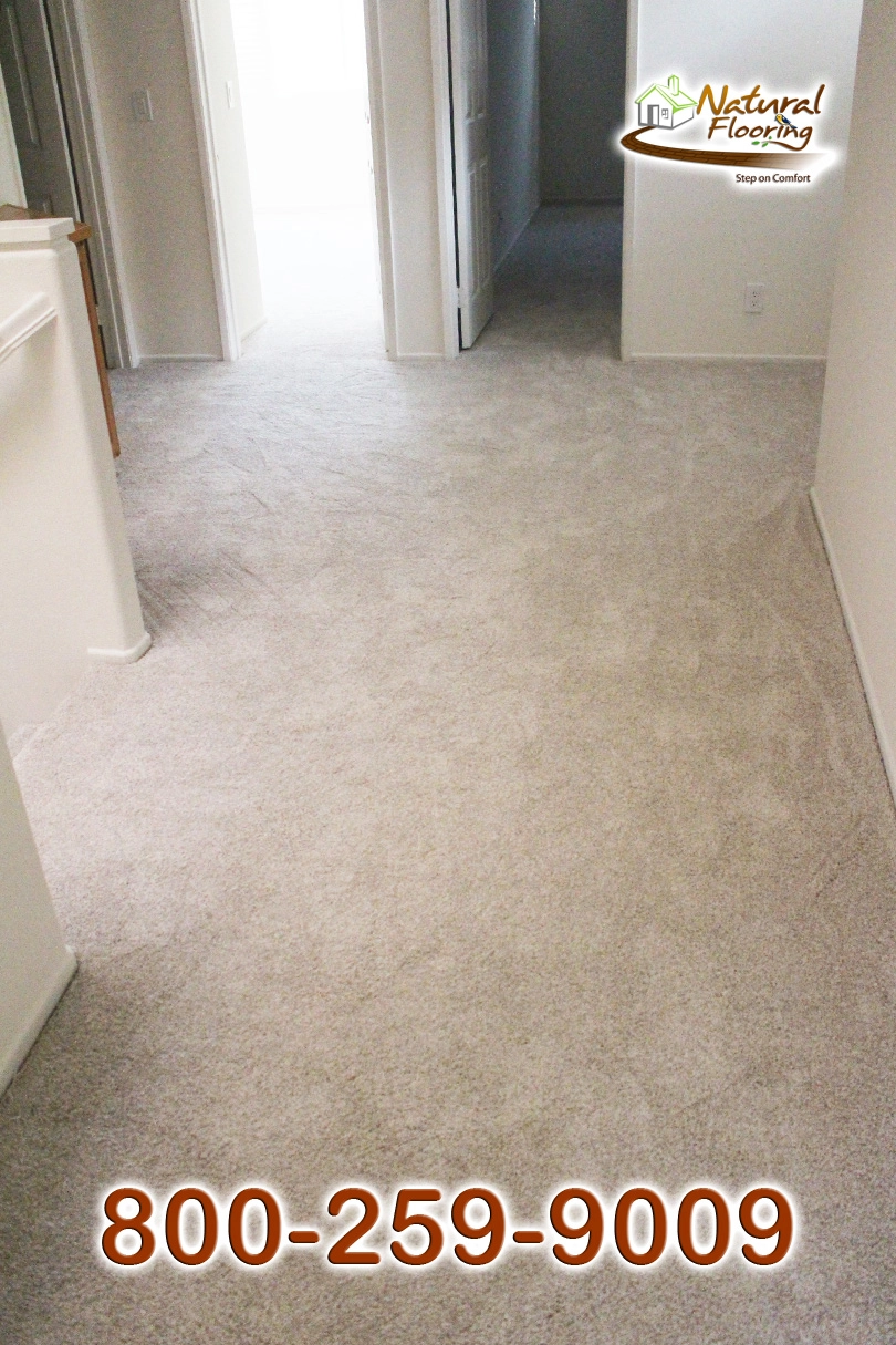 Aspen Glow Carpet