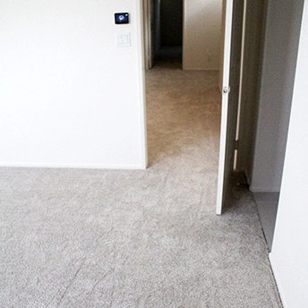 No Limit Aspen Glow Carpet Dreamweaver 10 929201