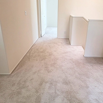 No Limit Aspen Glow Carpet Dreamweaver 12 580039