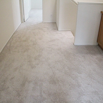 No Limit Aspen Glow Carpet Dreamweaver 15 586564