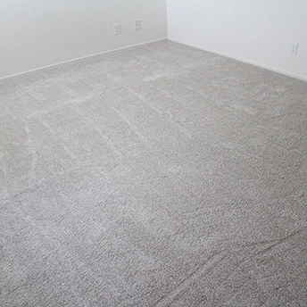 No Limit Aspen Glow Carpet Dreamweaver 16 406925