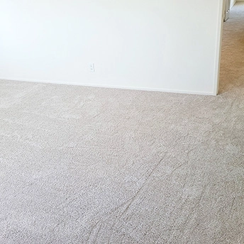No Limit Aspen Glow Carpet Dreamweaver 18 258530