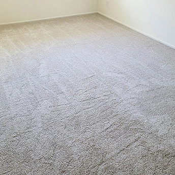 No Limit Aspen Glow Carpet Dreamweaver 19 975022