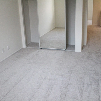 No Limit Aspen Glow Carpet Dreamweaver 22 160247