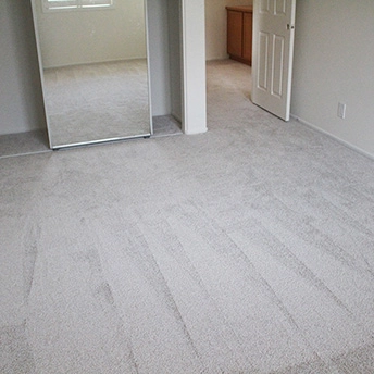 No Limit Aspen Glow Carpet Dreamweaver 23 437066