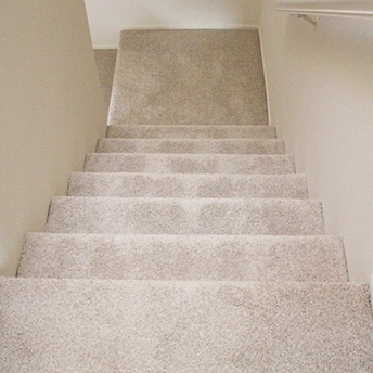 No Limit Aspen Glow Carpet Dreamweaver 24 455428