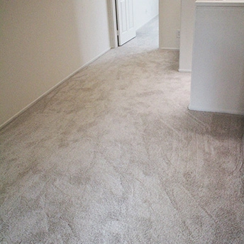 No Limit Aspen Glow Carpet Dreamweaver 3 343256