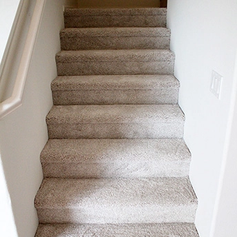 No Limit Aspen Glow Carpet Dreamweaver 5 697622