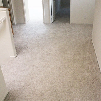 No Limit Aspen Glow Carpet Dreamweaver 9 488371