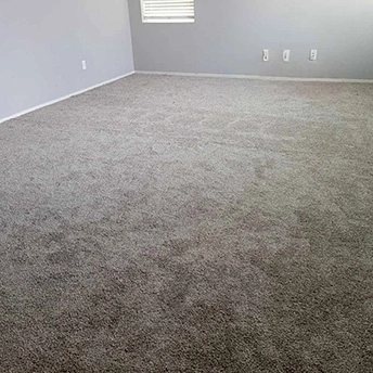 No Limited Meadow Lark 5091 Dreamweaver 1 520282