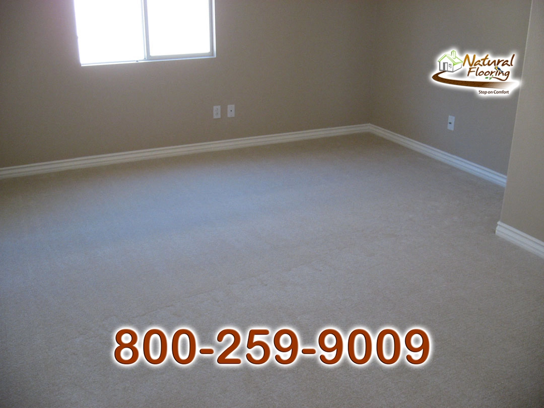 Sand Dollar Carpet