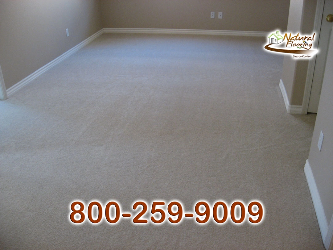 Sand Dollar Carpet