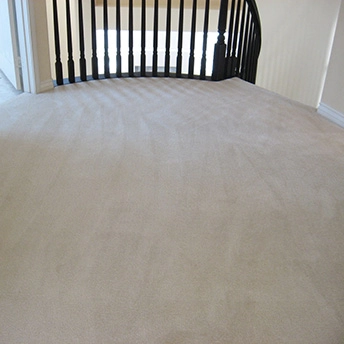 Parlay Sand Dollar Carpet Shaw 1