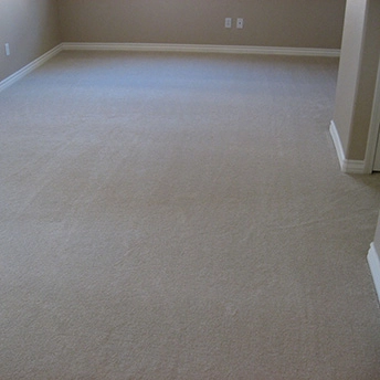 Parlay Sand Dollar Carpet Shaw 4