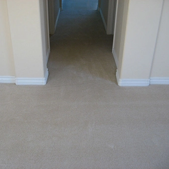 Parlay Sand Dollar Carpet Shaw 5