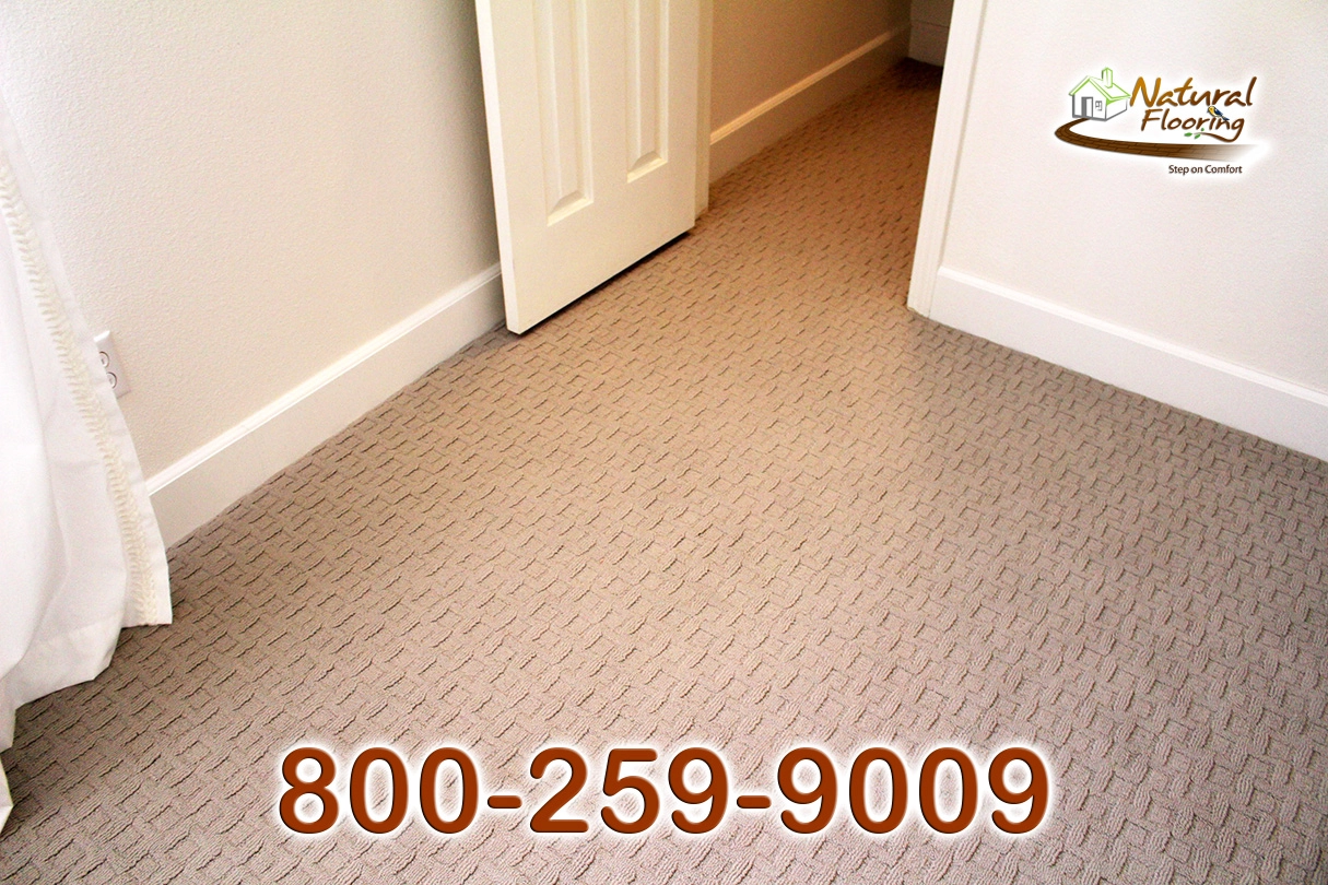Patterned Carpet