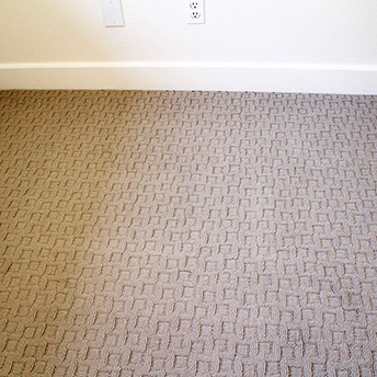 Patterned Carpet 6 262709