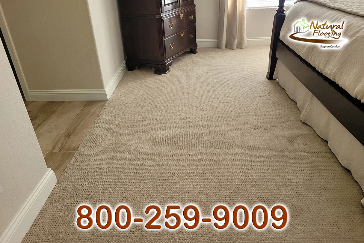 Barista Carpet