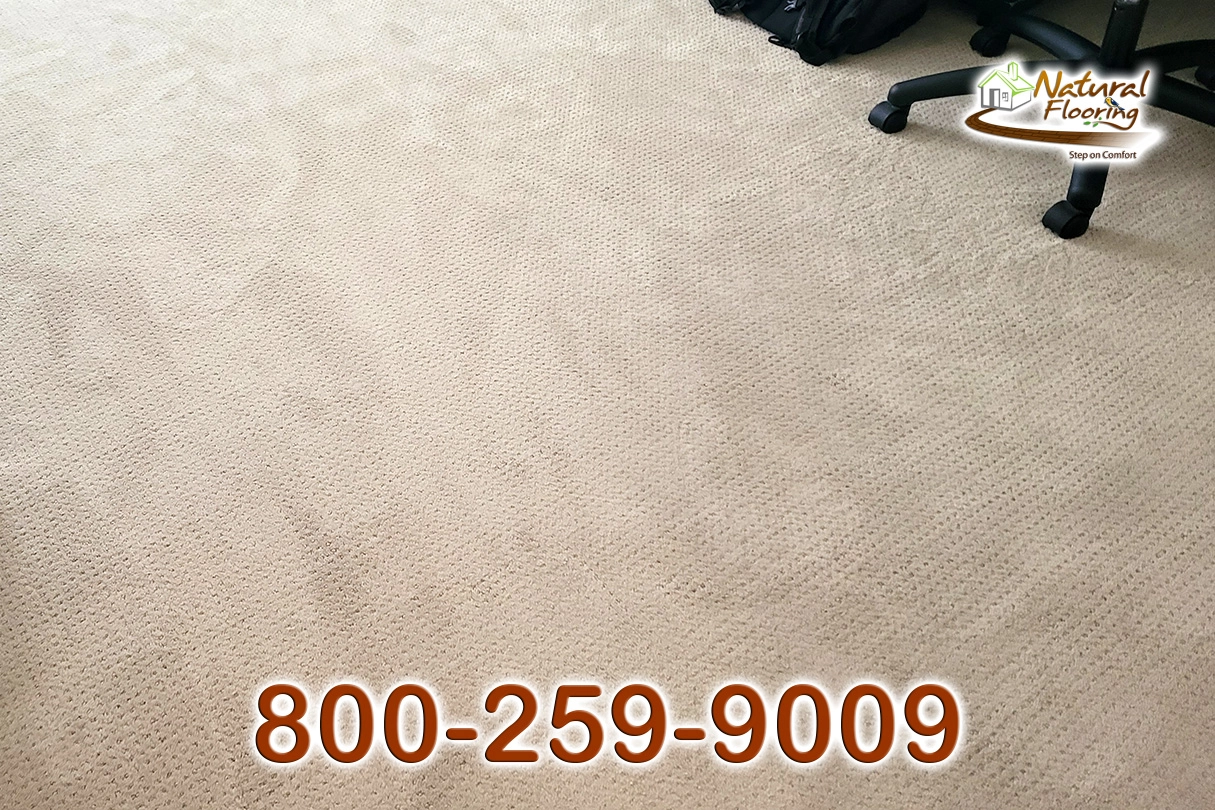 Barista Carpet