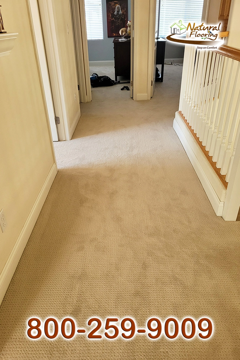 Barista Carpet