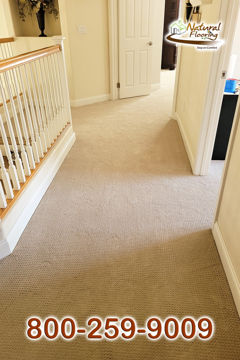 Barista Carpet