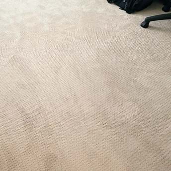 Perpetual MoveBarista Carpet Shaw 3 894164