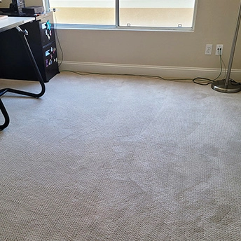 Perpetual MoveBarista Carpet Shaw 4 368862