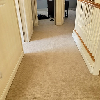 Perpetual MoveBarista Carpet Shaw 6 662928
