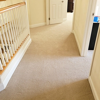 Perpetual MoveBarista Carpet Shaw 7 220556