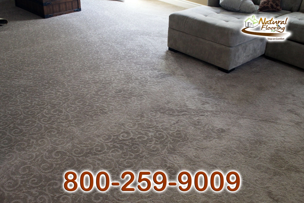 Pleasant Garden Sable Carpet