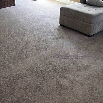 Pleasant Garden Sable Carpet Tuftex 1