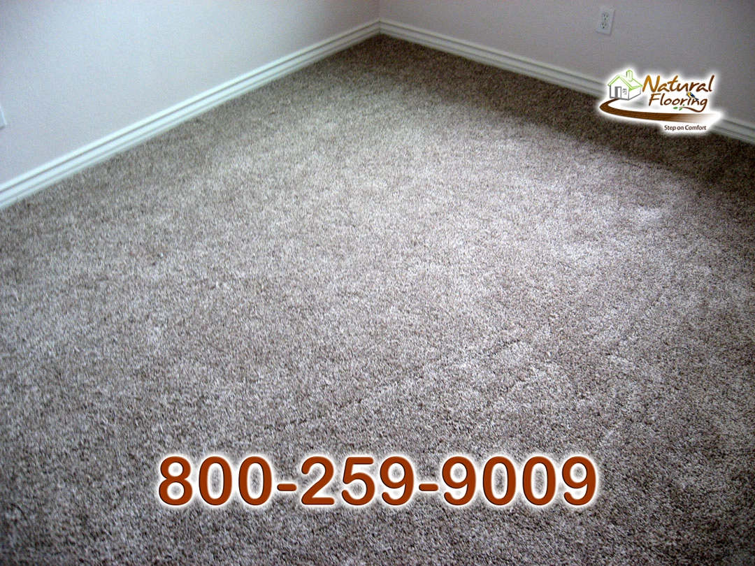 Saddle Soup Carpet