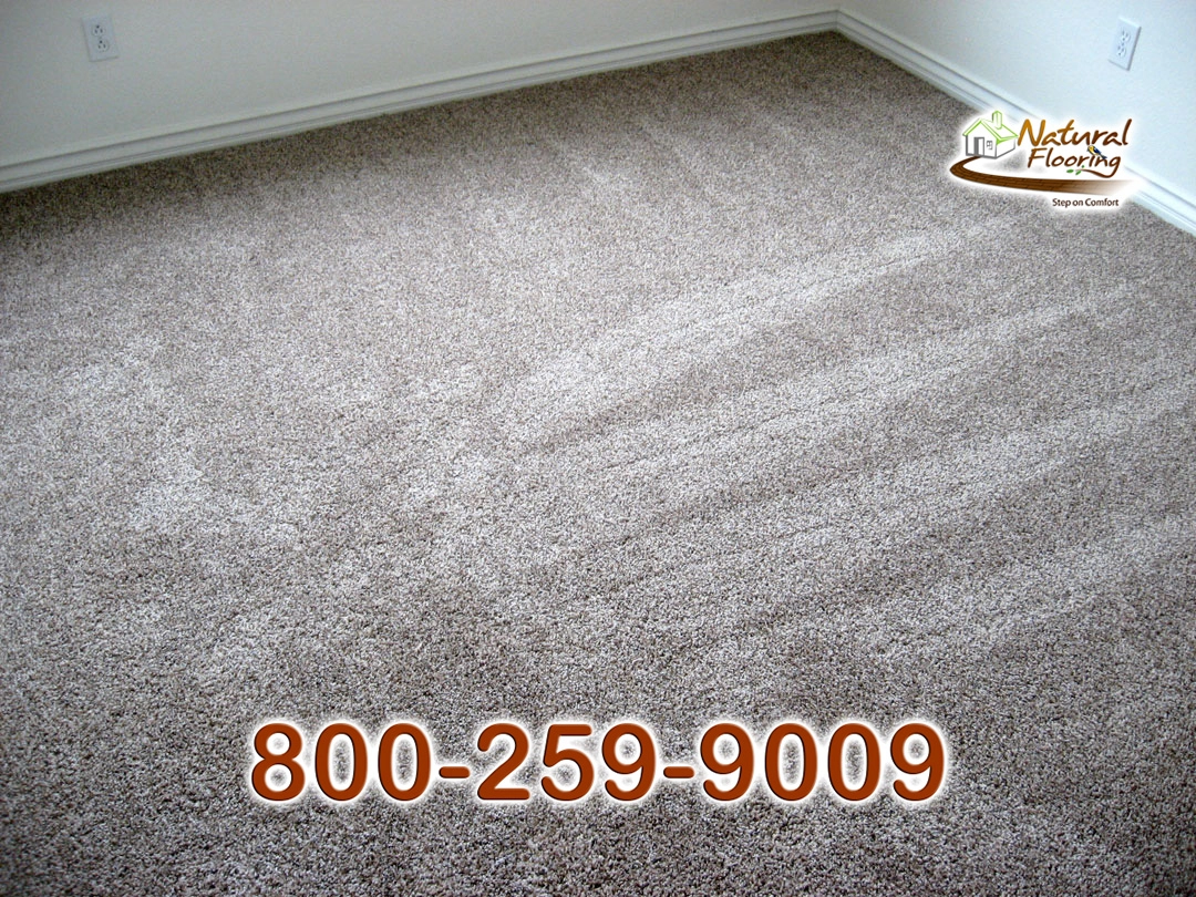 Saddle Soup Carpet