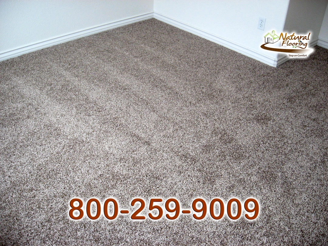 Saddle Soup Carpet