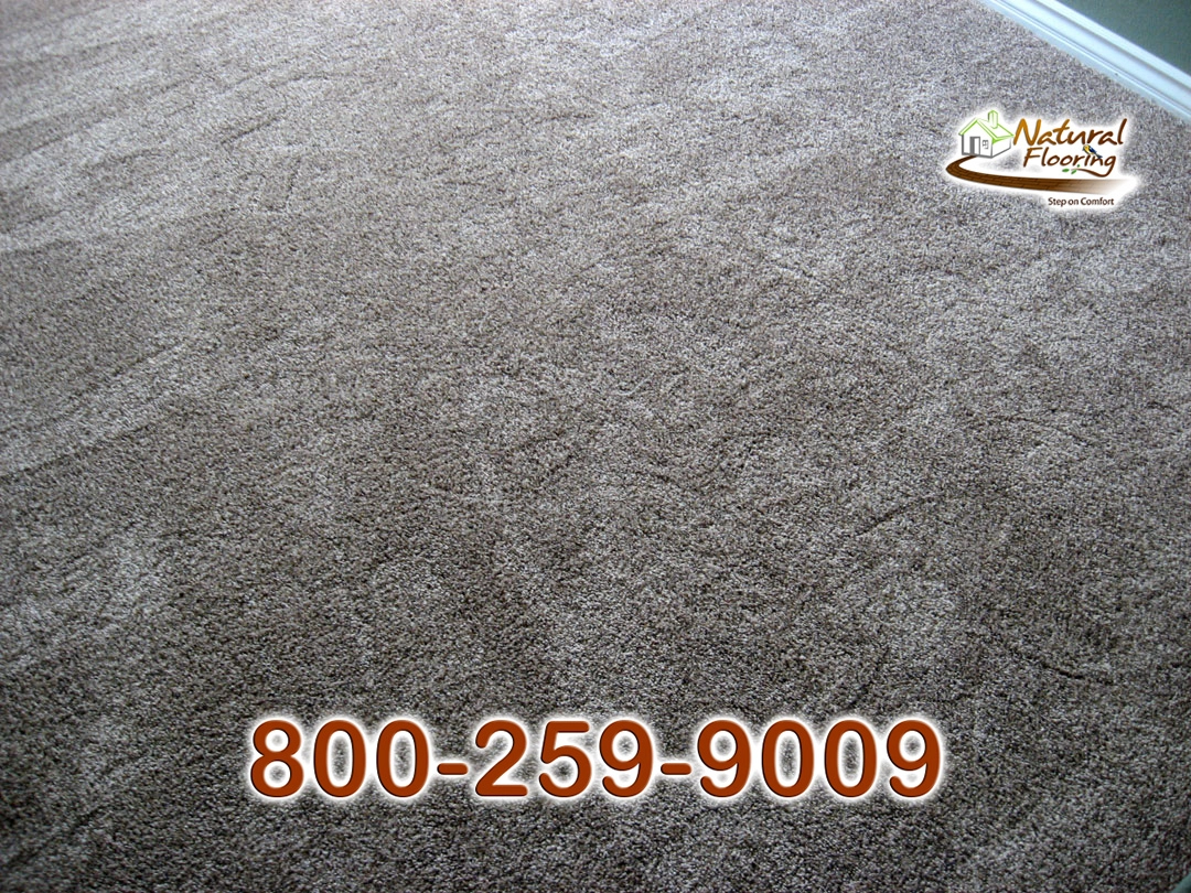 Saddle Soup Carpet
