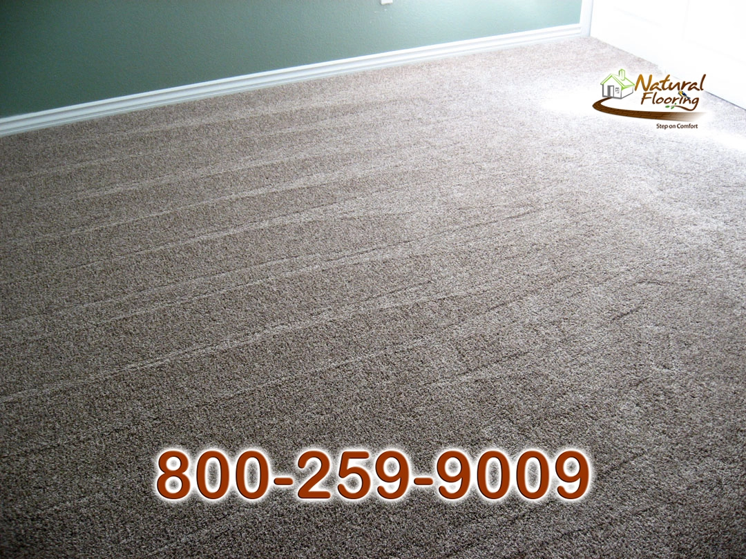 Saddle Soup Carpet