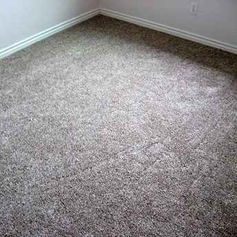 Power Buy Saddle Soup Carpet Shaw 1 189873