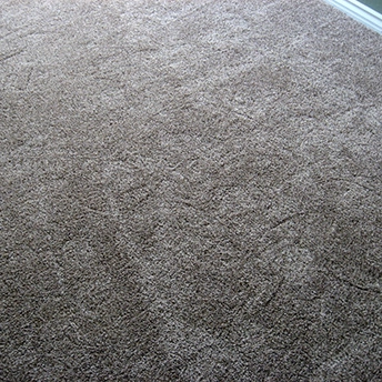 Power Buy Saddle Soup Carpet Shaw 5 462852